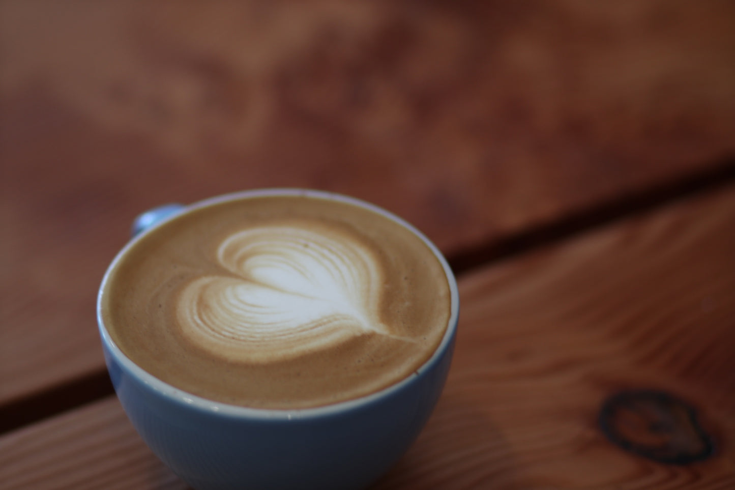 32 Lakes Coffee Roasters